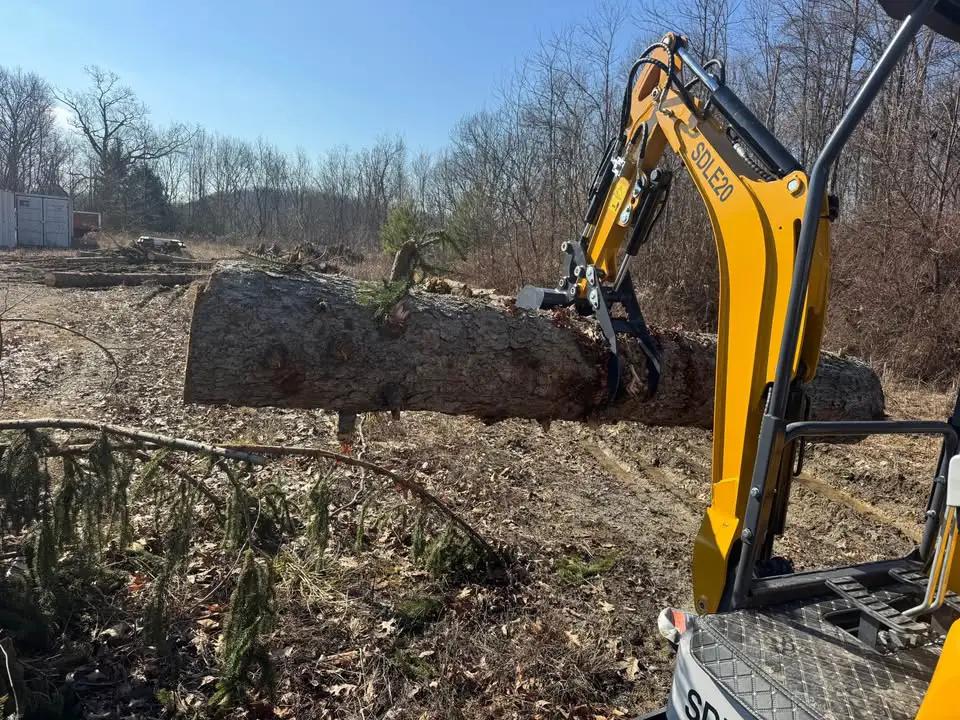 2026 SDLE20 YANMAR DIESEL 1.4-TON MINI EXCAVATOR by SDLANCH