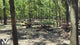 Extreme Root Grapple Rake Skid Steer Attachment **FREE SHIPPING**